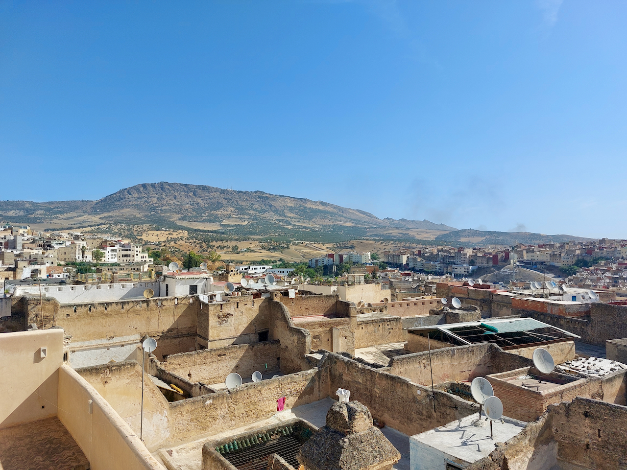 agence immobiliere fes medina